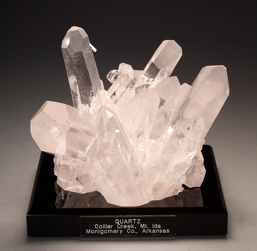 7894 - QUARTZ