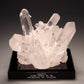 7894 - QUARTZ