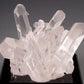 7894 - QUARTZ