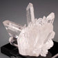 7894 - QUARTZ